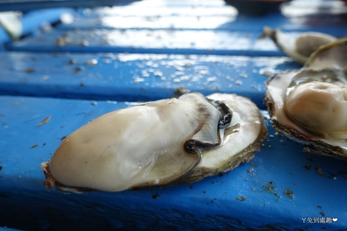 澎湖牡蠣吃到飽