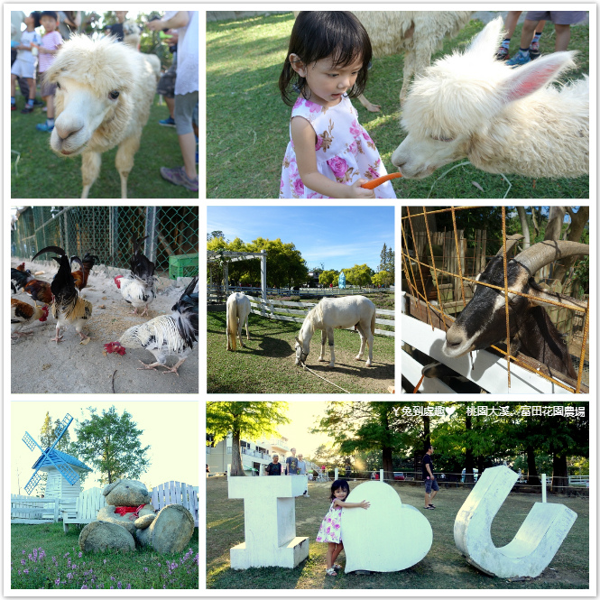 【桃園景點】富田花園農場。可愛動物、草泥馬餵食、美麗水晶教堂
