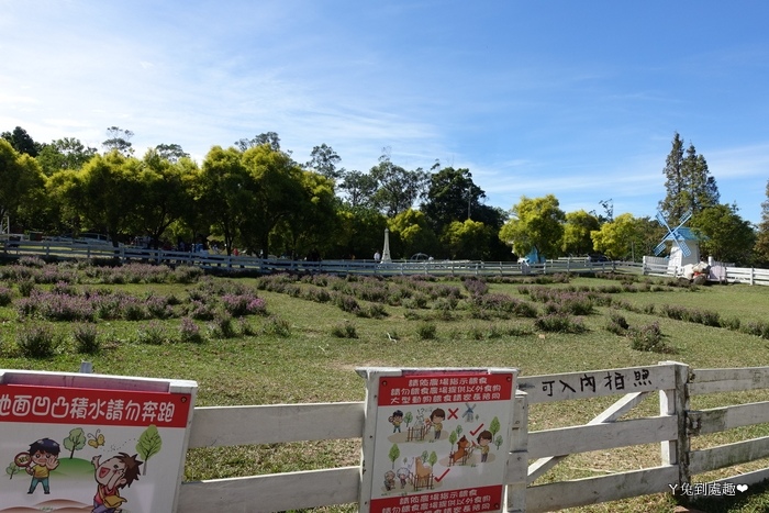 富田花園農場