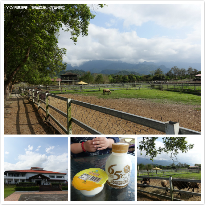 【花蓮瑞穗】吉蒸牧場：看可愛動物、喝鮮奶，免費入園！