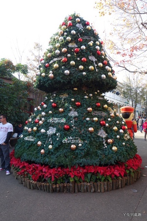 聖誕樹