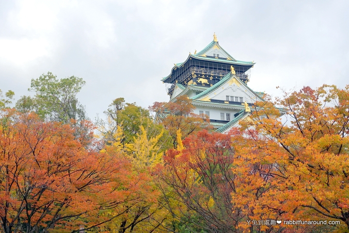 日本景點》大阪城公園、天守閣、御座船。秋季賞紅葉