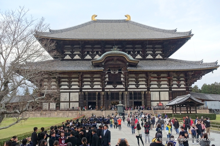【日本奈良】東大寺 Todaiji。世界最大木造建築、奈良大佛