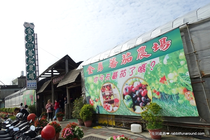 金勇DIY番茄農場