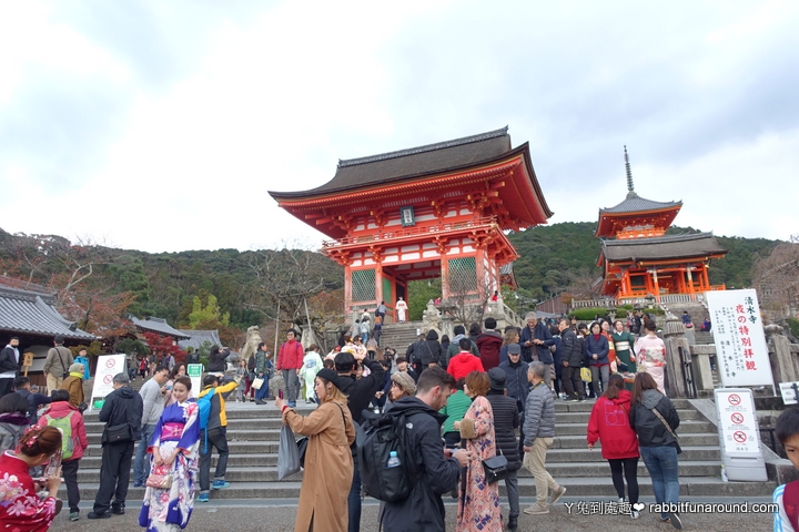 京都旅遊