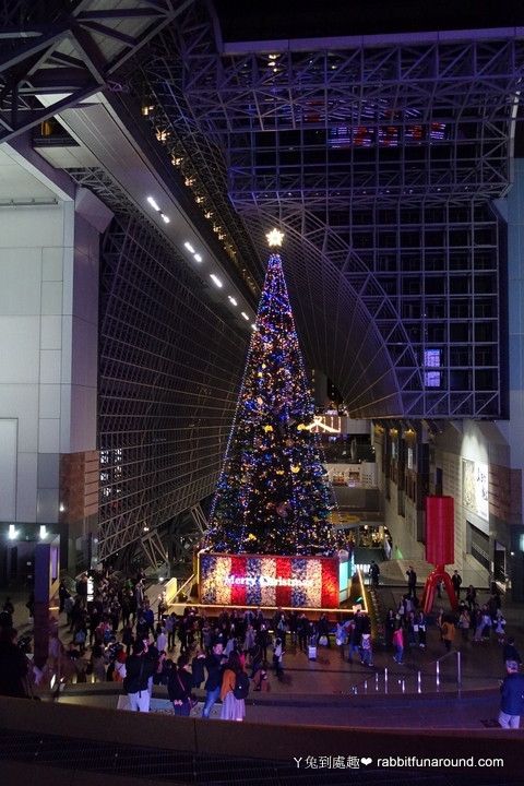 京都聖誕樹