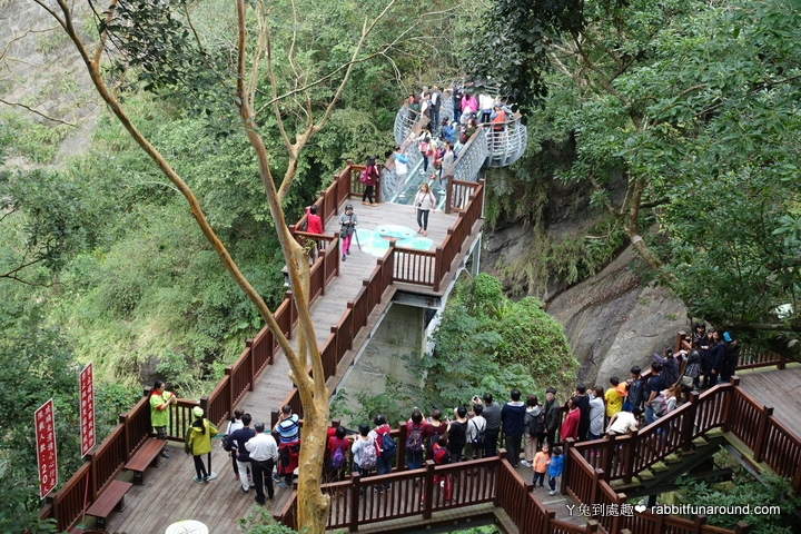 【新竹景點】青蛙石天空步道。透明玻璃步道、森林浴、賞瀑布