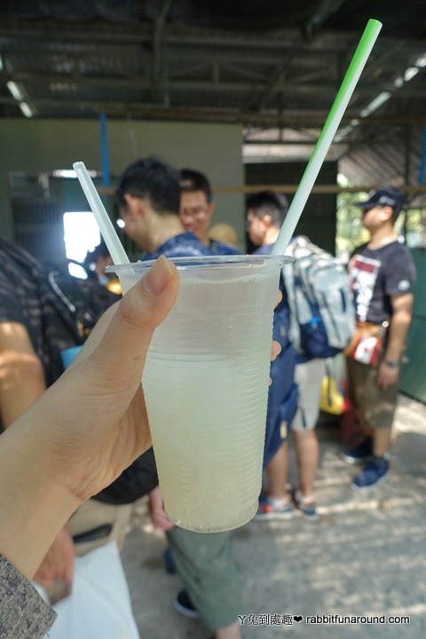 水椰子飲料