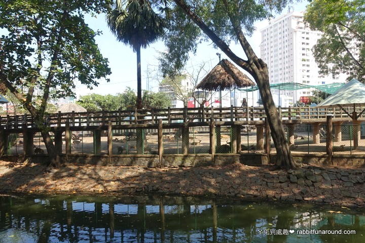 動物園景觀