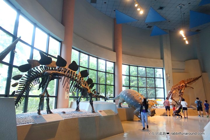 自然科學博物館