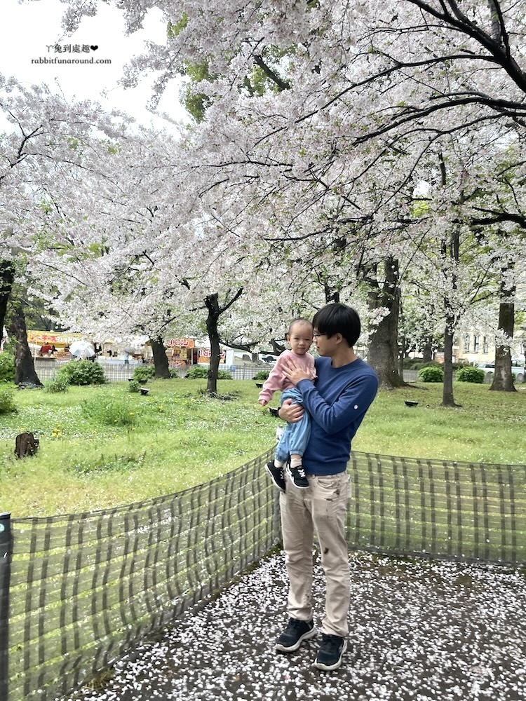 名古屋賞櫻景點 鶴舞公園