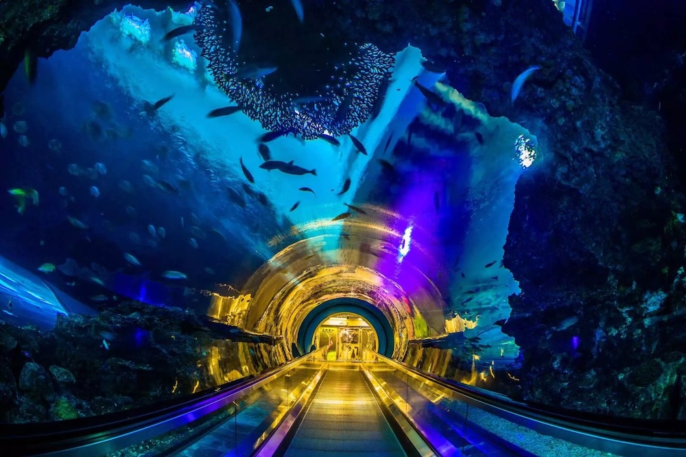 屏東親子景點:國立海洋生物博物館
