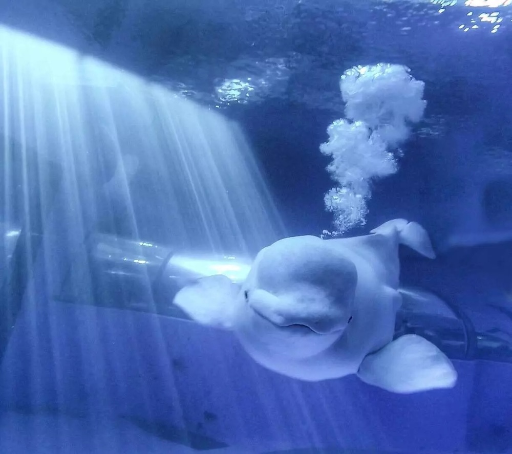 屏東親子景點:國立海洋生物博物館