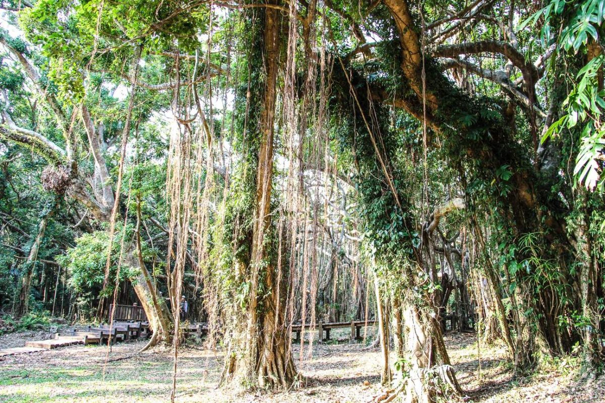 屏東親子景點:墾丁國家森林遊樂區
