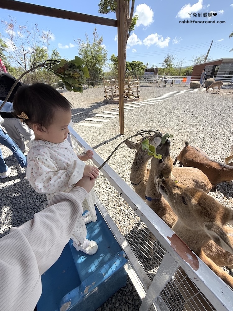 屏東親子景點：墾丁灰太狼生態教育園區