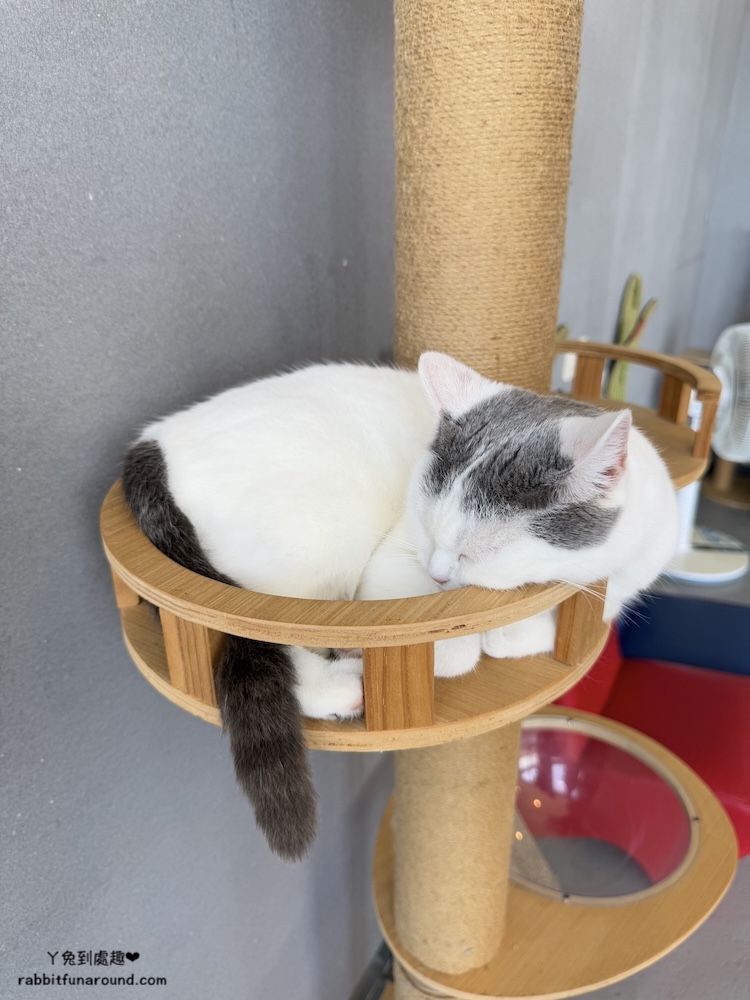 屏東親子景點：墾丁灰太狼生態教育園區