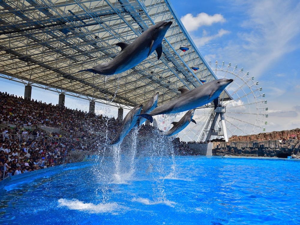 名古屋港水族館介紹