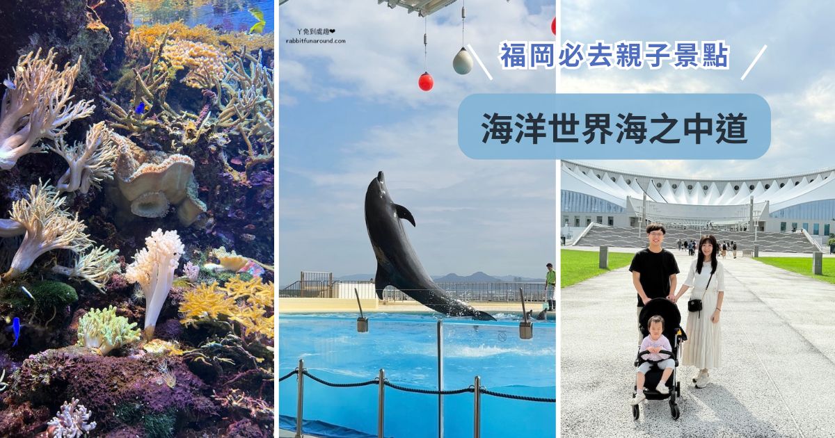福岡親子景點 海洋世界海之中道